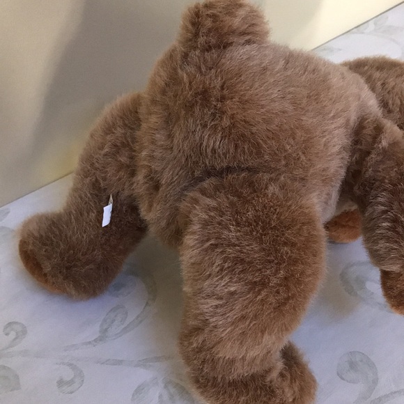 2/$15 Teddy Get Ready plush bear - Picture 3 of 7